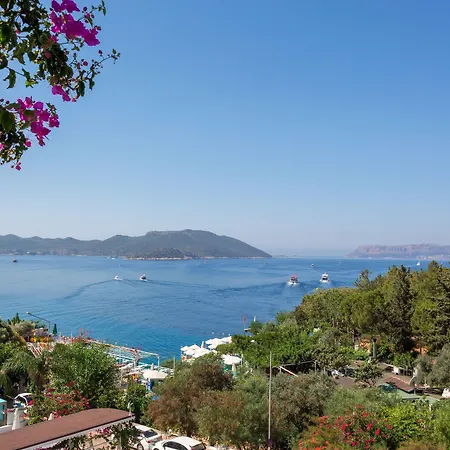 Koza Kaş
