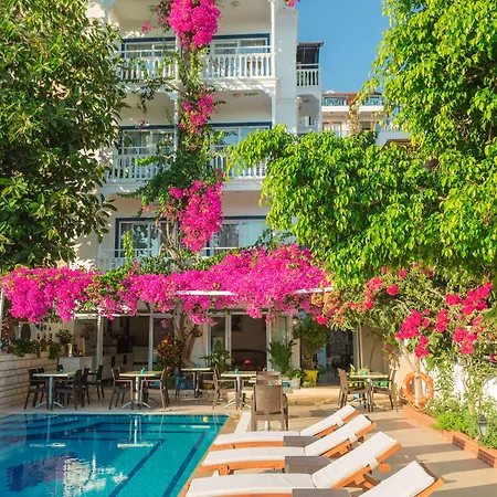 Hotel Koza