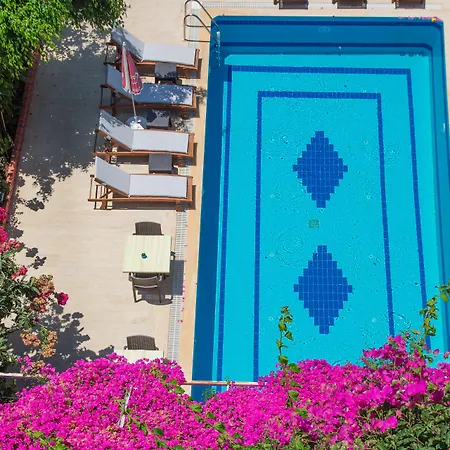 Hotel Koza