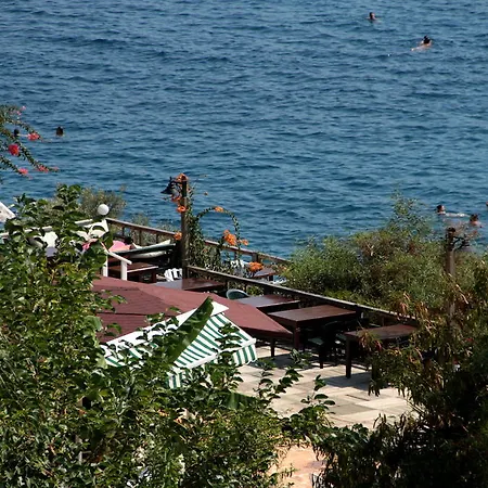Hotel Koza 2*