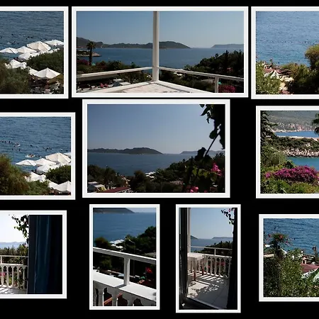 Hotel Koza 2*