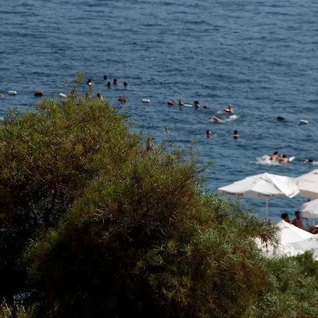 Koza Kaş